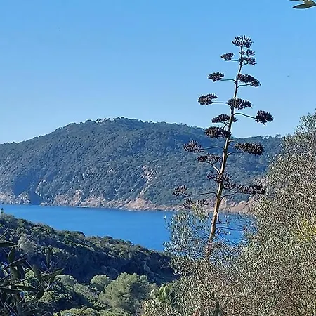 Luxuszelt Safari Hyères